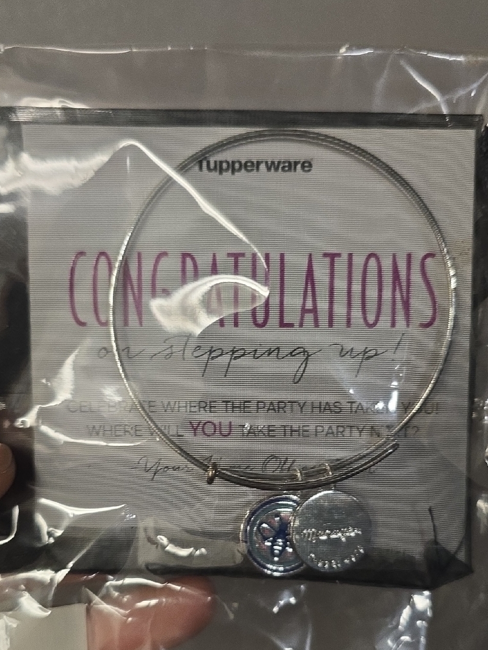 Tupperware Manager Silver-tone Congratulations Charm Bangle Bumblebee